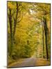 Leaves Fall from Sugar Maple Trees Lining a Dirt Road in Cabot, Vermont, Usa-Jerry & Marcy Monkman-Mounted Photographic Print