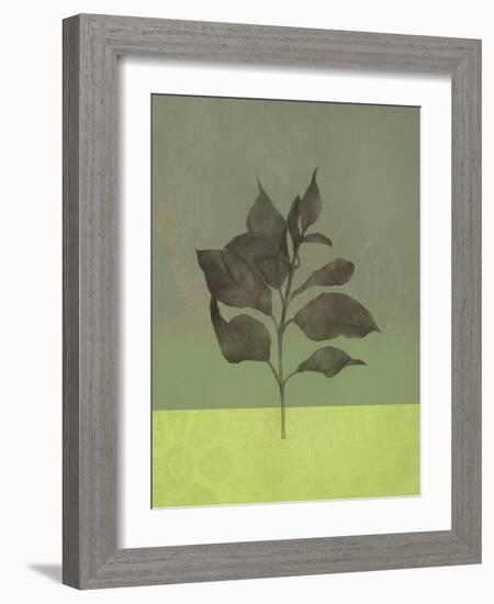 Leaves Green II-Judi Bagnato-Framed Art Print