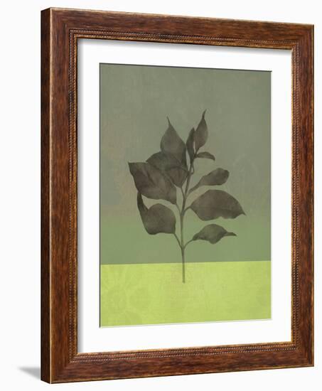 Leaves Green II-Judi Bagnato-Framed Art Print