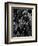 Leaves, Hawaii, c. 1985-Brett Weston-Framed Photographic Print