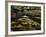 Leaves in whirlpool of Tye River near Blue Ridge Parkway, Appalachian Mountains, Virginia, USA-Charles Gurche-Framed Photographic Print