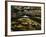 Leaves in whirlpool of Tye River near Blue Ridge Parkway, Appalachian Mountains, Virginia, USA-Charles Gurche-Framed Photographic Print