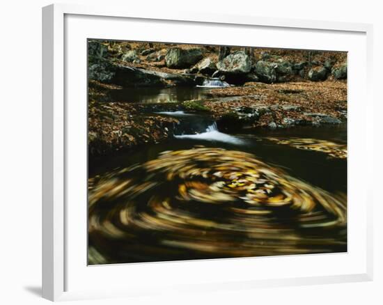 Leaves in whirlpool of Tye River near Blue Ridge Parkway, Appalachian Mountains, Virginia, USA-Charles Gurche-Framed Photographic Print