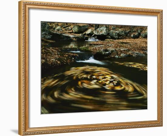 Leaves in whirlpool of Tye River near Blue Ridge Parkway, Appalachian Mountains, Virginia, USA-Charles Gurche-Framed Photographic Print