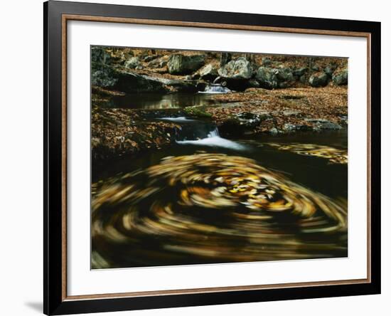 Leaves in whirlpool of Tye River near Blue Ridge Parkway, Appalachian Mountains, Virginia, USA-Charles Gurche-Framed Photographic Print