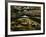 Leaves in whirlpool of Tye River near Blue Ridge Parkway, Appalachian Mountains, Virginia, USA-Charles Gurche-Framed Photographic Print