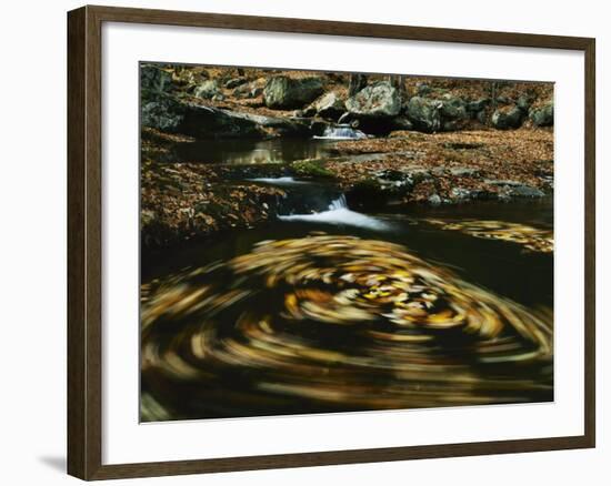 Leaves in whirlpool of Tye River near Blue Ridge Parkway, Appalachian Mountains, Virginia, USA-Charles Gurche-Framed Photographic Print