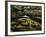 Leaves in whirlpool of Tye River near Blue Ridge Parkway, Appalachian Mountains, Virginia, USA-Charles Gurche-Framed Photographic Print