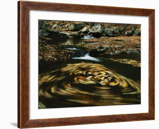 Leaves in whirlpool of Tye River near Blue Ridge Parkway, Appalachian Mountains, Virginia, USA-Charles Gurche-Framed Photographic Print