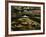 Leaves in whirlpool of Tye River near Blue Ridge Parkway, Appalachian Mountains, Virginia, USA-Charles Gurche-Framed Photographic Print
