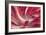 Leaves like Satin Ribbons-Robin Wechsler-Framed Giclee Print