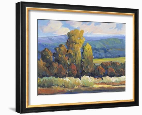 Leaves of Fire II-Tim O'toole-Framed Art Print