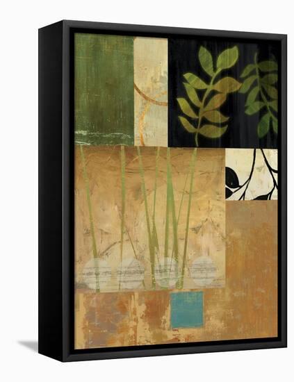 Leaves of Green II-Andrew Michaels-Framed Stretched Canvas