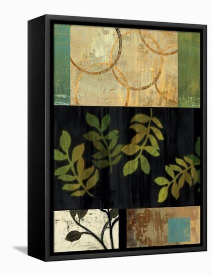 Leaves of Green II-Andrew Michaels-Framed Stretched Canvas