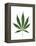 Leaves of Marijuana Plant, Cannabis-David Nunuk-Framed Premier Image Canvas