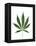 Leaves of Marijuana Plant, Cannabis-David Nunuk-Framed Premier Image Canvas