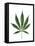 Leaves of Marijuana Plant, Cannabis-David Nunuk-Framed Premier Image Canvas