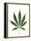 Leaves of Marijuana Plant, Cannabis-David Nunuk-Framed Premier Image Canvas