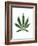 Leaves of Marijuana Plant, Cannabis-David Nunuk-Framed Photographic Print