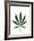 Leaves of Marijuana Plant, Cannabis-David Nunuk-Framed Photographic Print