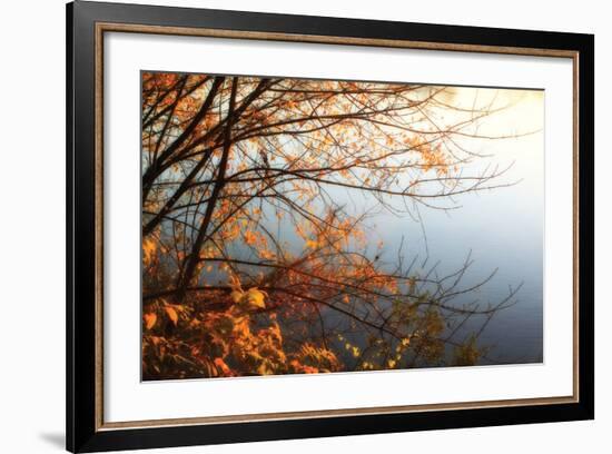 Leaves of Orange I-Alan Hausenflock-Framed Photographic Print