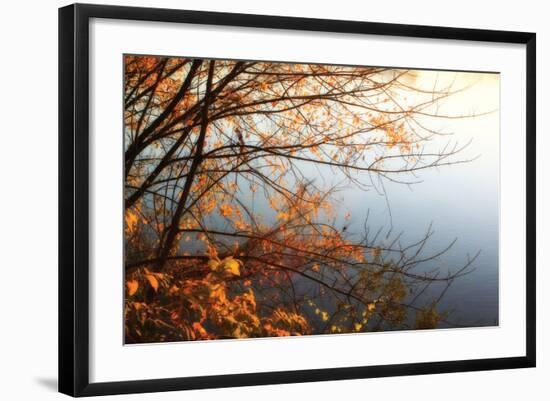 Leaves of Orange I-Alan Hausenflock-Framed Photographic Print