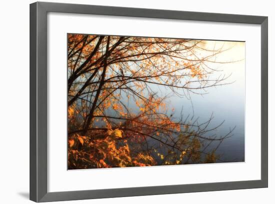 Leaves of Orange I-Alan Hausenflock-Framed Photographic Print