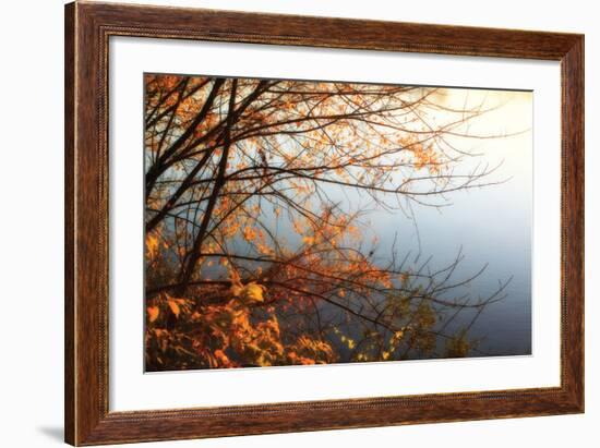 Leaves of Orange I-Alan Hausenflock-Framed Photographic Print