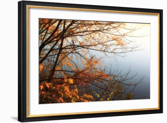 Leaves of Orange I-Alan Hausenflock-Framed Photographic Print