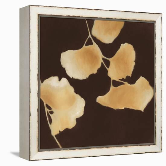 Leaves of Origin II-Julianne Marcoux-Framed Stretched Canvas