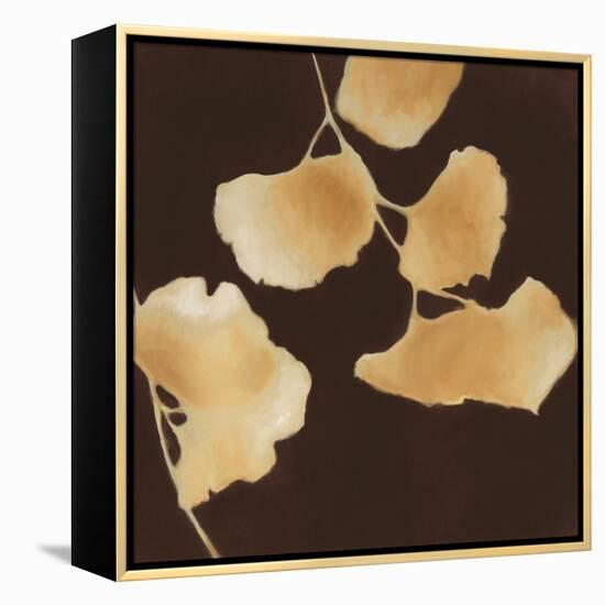 Leaves of Origin II-Julianne Marcoux-Framed Stretched Canvas