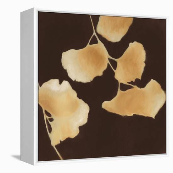 Leaves of Origin II-Julianne Marcoux-Framed Stretched Canvas