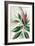 Leaves of Pink I-Asia Jensen-Framed Art Print