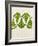 Leaves of the Sweet Cicely, Myrrhis Odorata, Green, Still Life-Axel Killian-Framed Photographic Print