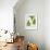 Leaves of the Sweet Cicely, Myrrhis Odorata, Green, Still Life-Axel Killian-Framed Photographic Print displayed on a wall