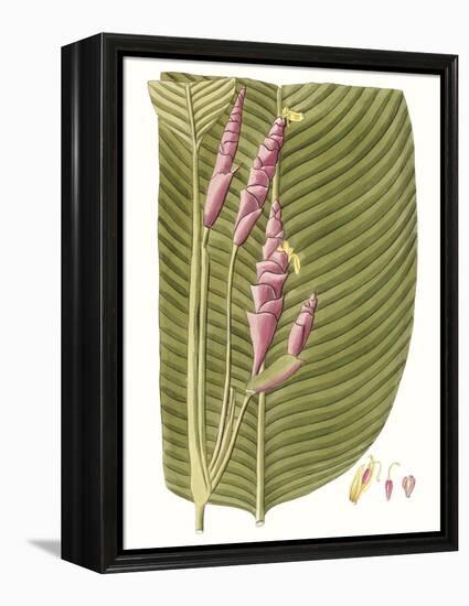 Leaves of the Tropics I-Vision Studio-Framed Stretched Canvas