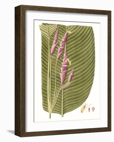 Leaves of the Tropics I-Vision Studio-Framed Art Print