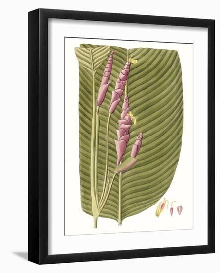 Leaves of the Tropics I-Vision Studio-Framed Art Print