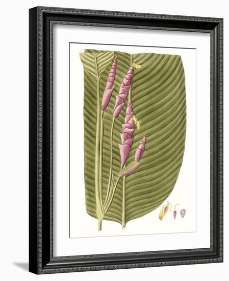 Leaves of the Tropics I-Vision Studio-Framed Art Print