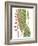 Leaves of the Tropics III-Vision Studio-Framed Art Print