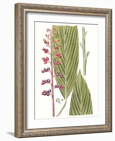 Leaves of the Tropics III-Vision Studio-Framed Art Print