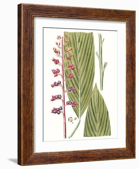 Leaves of the Tropics III-Vision Studio-Framed Art Print