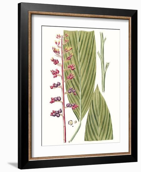 Leaves of the Tropics III-Vision Studio-Framed Art Print