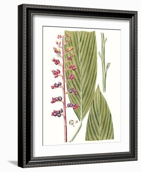 Leaves of the Tropics III-Vision Studio-Framed Art Print