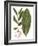 Leaves of the Tropics IV-Vision Studio-Framed Art Print