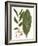 Leaves of the Tropics IV-Vision Studio-Framed Art Print