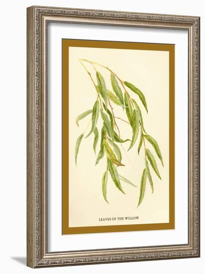 Leaves of the Willow-W.h.j. Boot-Framed Art Print