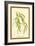 Leaves of the Willow-W.h.j. Boot-Framed Art Print