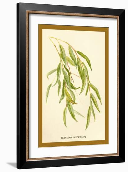 Leaves of the Willow-W.h.j. Boot-Framed Art Print