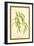 Leaves of the Willow-W.h.j. Boot-Framed Art Print